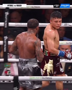 🐶🐾 #PitbullRoach | Supreme Boxing