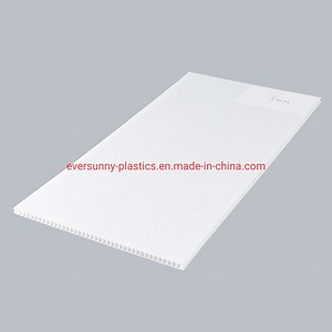 [Hot Item] White PP Hollow Correx Board for Packaging and Printing