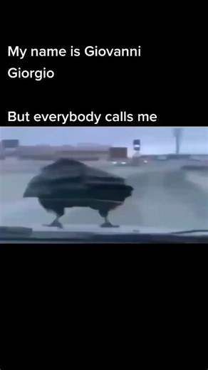 daily_giovanni_giorgio on Instagram: "Day 246 #meme #giovannigiorgio #funny #fyp #viral #reels"