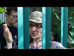 LIVE At A UK Slaughterhouse VIDEO ONE (1)