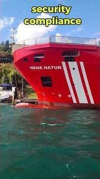 From AIS to ISPS How Ports Control Ship Security