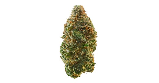 Specs Pecan Pie Weed Strain Information | Leafly