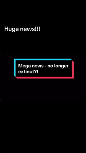 #extinct #zoology #conservation #nature #paleontology