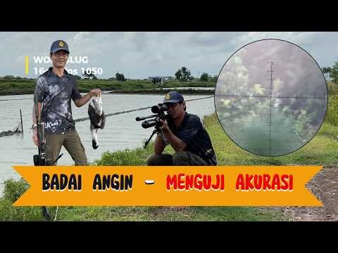 ENJOY A HUNTING DAY IN THE RAINY SEASON #hunting #birds