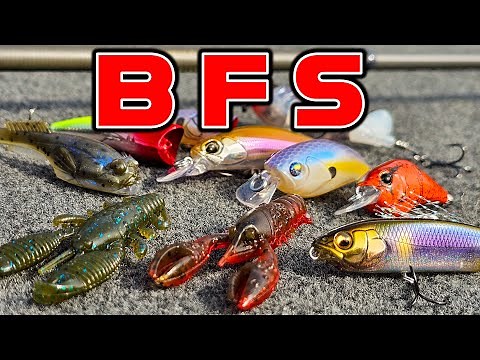 SPRING BUYER'S GUIDE: BFS ( Bait Finesse System: Rods, Reels, Baits, Tackle )