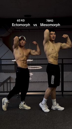 Ectomorph vs Mesomorph: Understanding the Key Differences