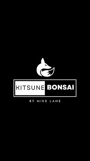 Water jasmine in progress | Mike Lane