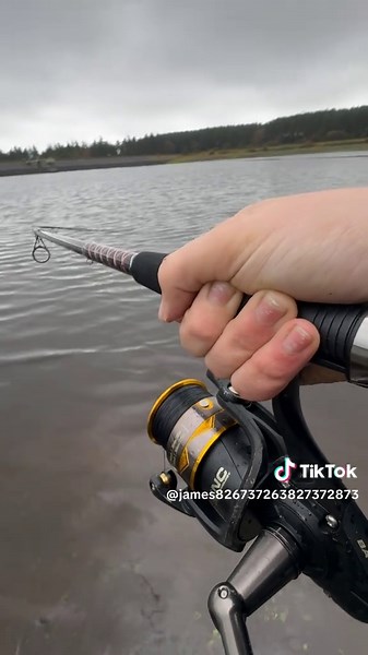 Woodburn Dams: A Guide to Middle Reservoir Fishing