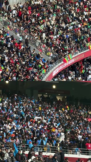 National Team Support