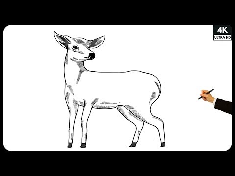 How to Draw a Deer | Deer Drawing | Step by Step Drawing Tutorial | Easy Drawing for beginners