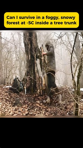 Can I survive in a foggy, snowy forest at -5C inside a tree trunk | Camping Food Adventures