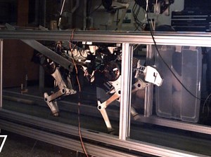 Video: MIT's Cheetah Robot Trots, Then Gallops