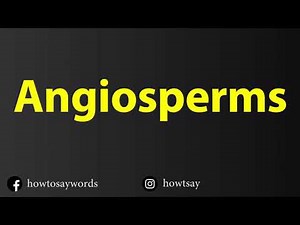How To Pronounce Angiosperms