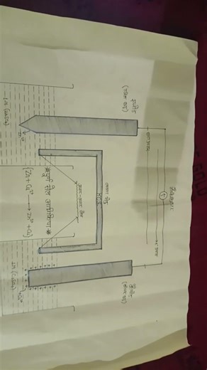 class 12 practical deniyal sell
