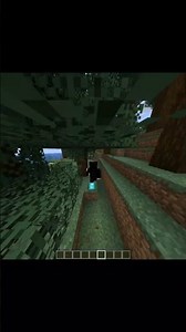 Minecraft challenge ✴️💫✨🌟