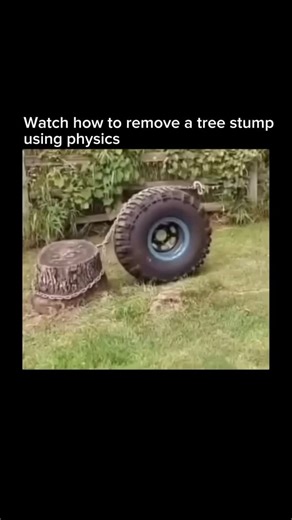 Topic Explains on Instagram: "A brilliant application of physics to tackle the difficult task of removing a tree stump. By looping a chain around a large tire and the stump, a simple machine is created to make the job easier. This setup is a perfect example of how basic engineering principles can be used to solve everyday problems. It’s a clever hack that multiplies force through simple leverage. The science behind this method involves using the tire as a dynamic fulcrum. As a vehicle pulls the 