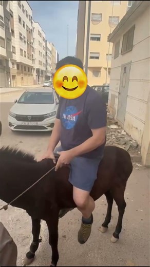 Fat Man Sit and Ride on Donkey