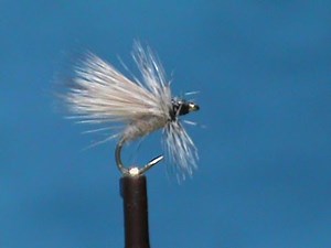 Fly Tying for Beginners Fluttering Caddis with Jim Misiura