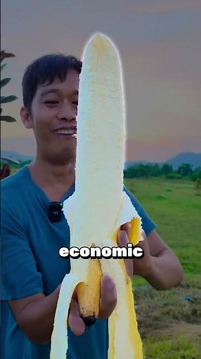 How Bananas Created “Banana Republics” 🍌 The Shocking History Behind a Fruit Empire#viral #shorts