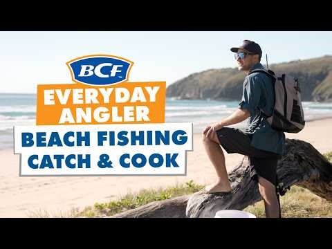 Catching Yellowtail Kingfish OFF THE BEACH! (Dart Taste Test)