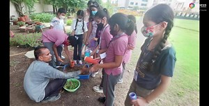 9K views · 42 reactions | Grades: PYP all grades Activity: Go Green...