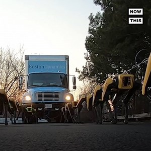 3.3M views · 10K reactions | Watch these tiny robot dogs tow a 15,000-pound truck | NowThis Earth | Facebook