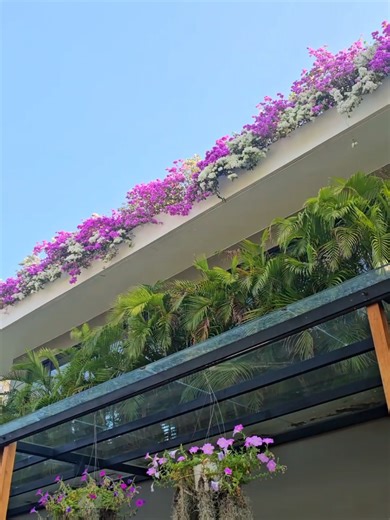 Sunny Day at V Villas Hua Hin - Relax and Unwind
