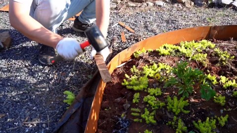 8pcs Corten Steel Landscape Edging with 8 Stakes,8inch Metal Edging,36 in. (L) x 8 in. (W) Landscape Edging w/ 8 Clips & Gloves -24FT in Total (Straight Style)