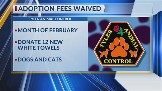 Tyler animal shelter waives adoption fees in exchange of towel donations