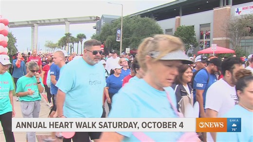 American Heart Association- Heart Walk.