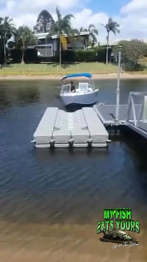 Watch out STUDENT DRIVER 🤣🤣 | KATFISH-Clothing