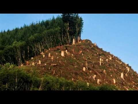 PROBLEMAS AMBIENTALES EN EL PERÚ