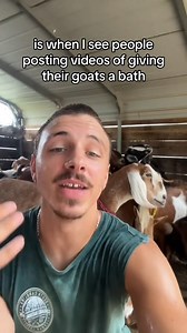6.3K views · 180 reactions | Fun goat fact for the day! | Goat Daddy's Farm | Facebook