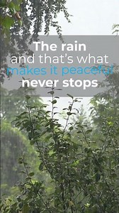 Rainforest Rain Loop Relaxing Short