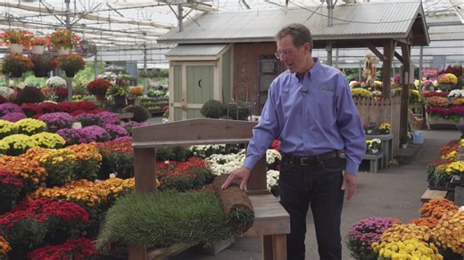 How to give your lawn a fall refresh | Garden Smart