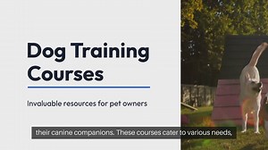 Dog Training Courses