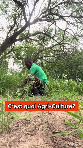 C’est quoi l’Agri-Culture? Définition et signification