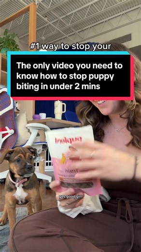 Stop Puppy Biting with the Find It Cue