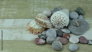 Color shells and sea stones