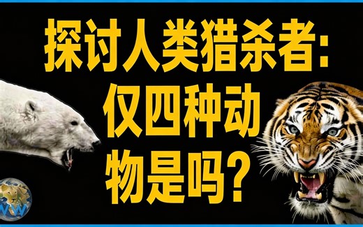 [中配]探讨人类猎杀者：仅四种动物是吗？ - Wild World