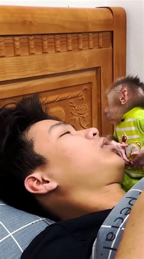 Hello everyone! 🐾 Did you know Lala is such a clever girl!! Watch her amazing skills in action! | Cheeky Lala