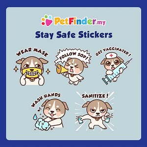 Creatively promote animal welfare with our exclusive PetFinder WhatsApp Stickers!  https://PetFinder.my/App  • Fun animated stickers to express your wacky moods • Encourage animal rescue, sterilization & adoption • Promote hygienic practices & personal safety Get our free app now. Thank you for 2,200 reviews averaging 4.9 stars! ⭐️⭐️⭐️⭐️⭐️ | PetFinder.my | Facebook