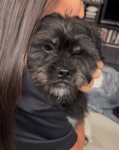 6.1K views · 33 reactions | Lisa Ling on Reels | Facebook