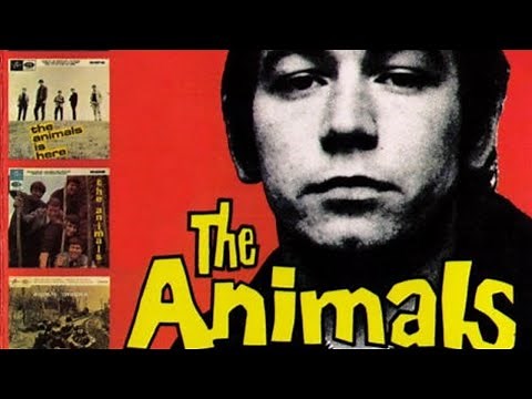 BEST SONGS: The Animals
