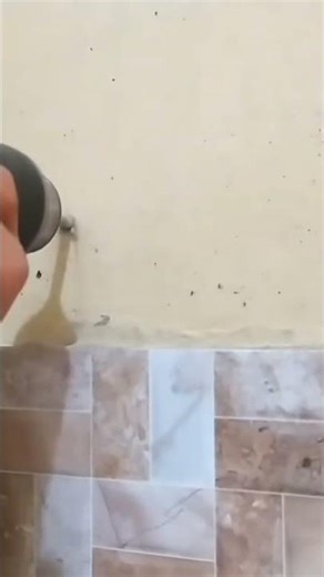 How to install fisher