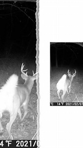 18 reactions | Nebraska hunting lease now available on HLRBO!...