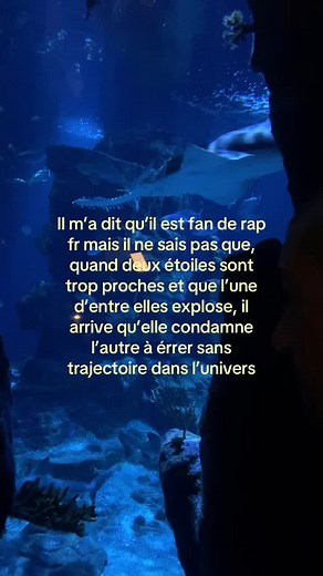 Les étoiles vagabondes : Une analyse profonde