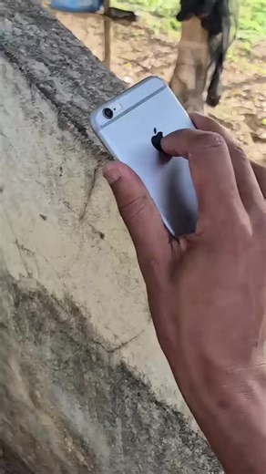 Mabe Fratti (@mabefrattimusic) adlı kullanıcının original sound - Mabe Fratti ile oluşturduğu videoları