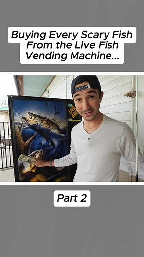 The Fish Guys on TikTok