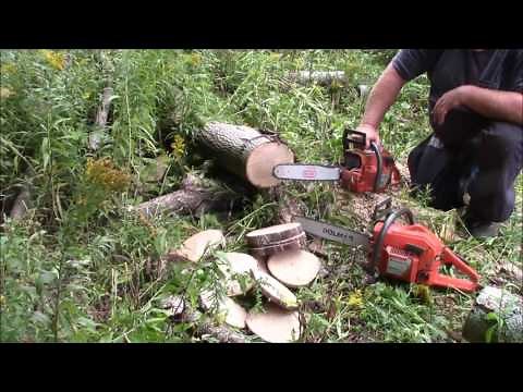 Husqvarna 51 "Dead Saw Salvage" Part 2 - Test Cuts & 254 & 562 as well